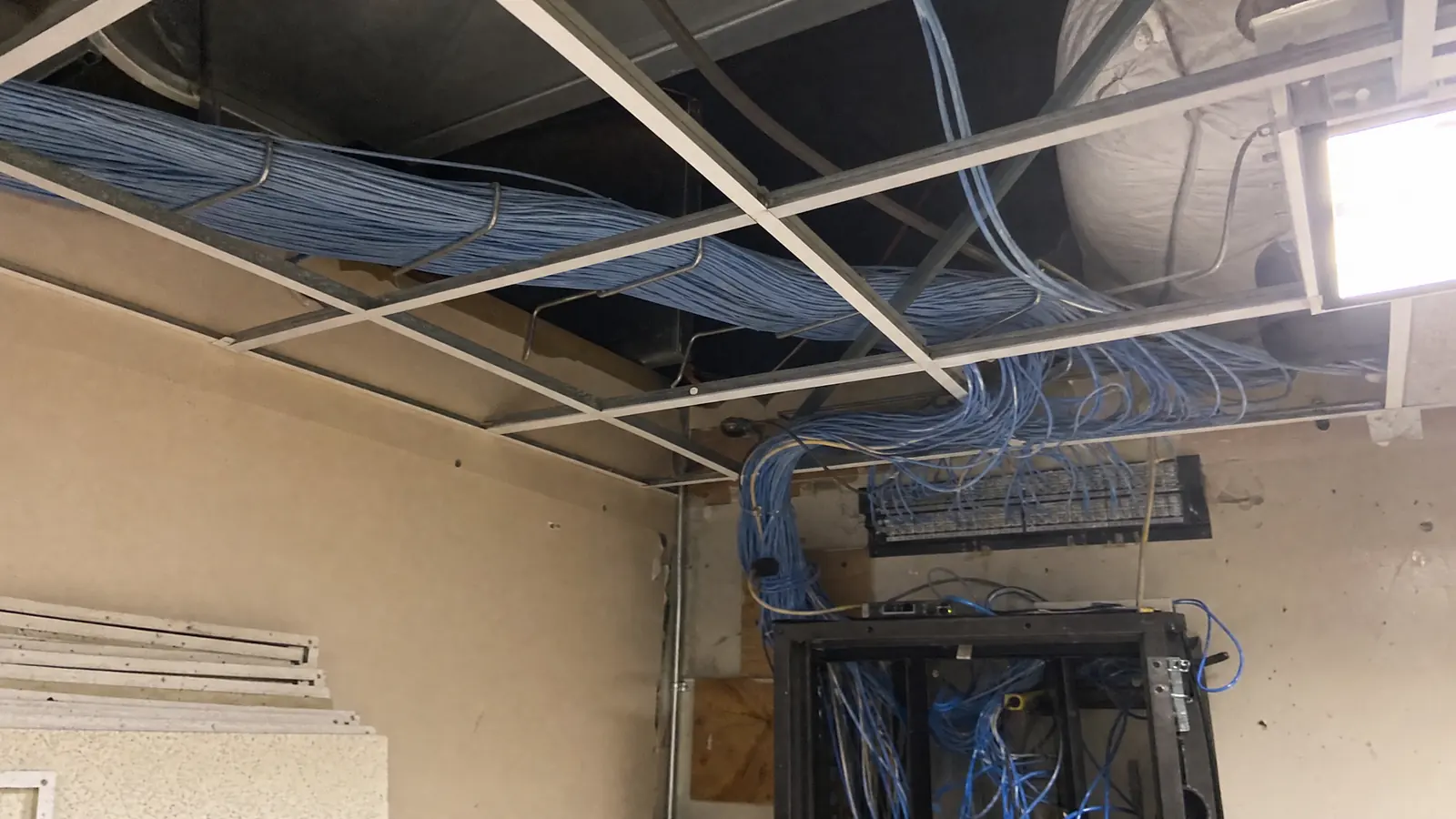 Looking up into an open ceiling grid at a bundle of pale blue data cables running on J-hooks and dropping toward a wall-mounted patch panel below.